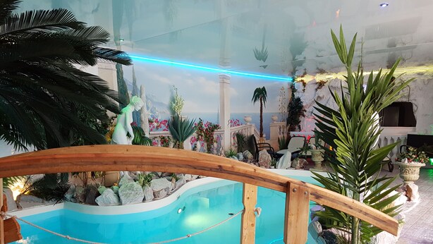 A pool area with a wooden bridge, surrounded by tropical plants and rocks. - Waldgasthaus am Schwarzenbruch (Allenbach)