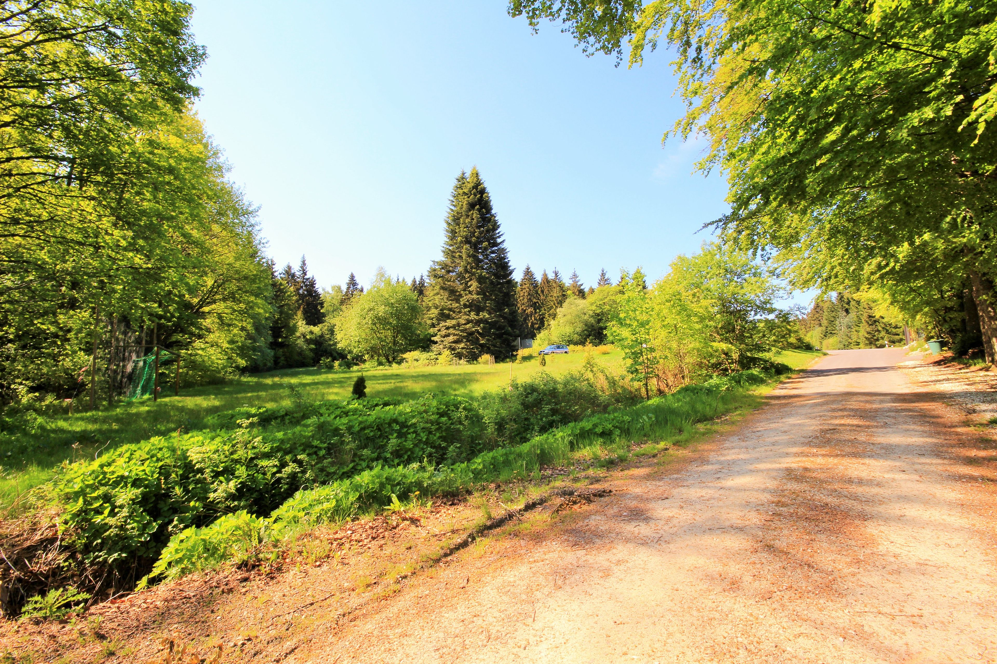 Eine ländliche Straße, gesäumt von dichtem Grün und Bäumen, die zu einem entfernten Haus führt.