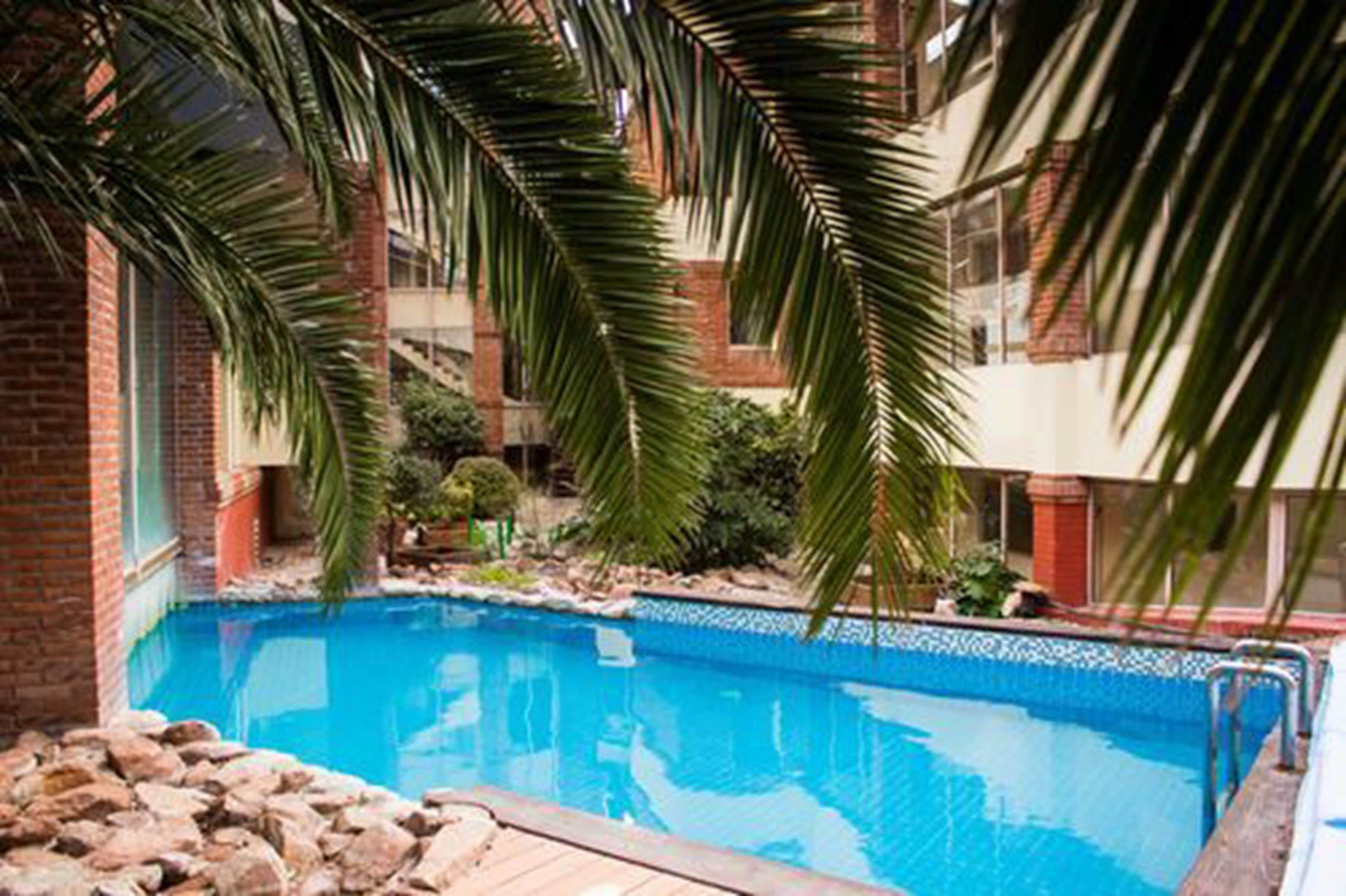 Una piscina rodeada de palmeras y un edificio de ladrillo.