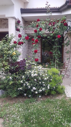 Property grounds - Bed and Breakfast Villa Gioia (Montegranaro)