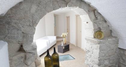 B&B Dinastia
