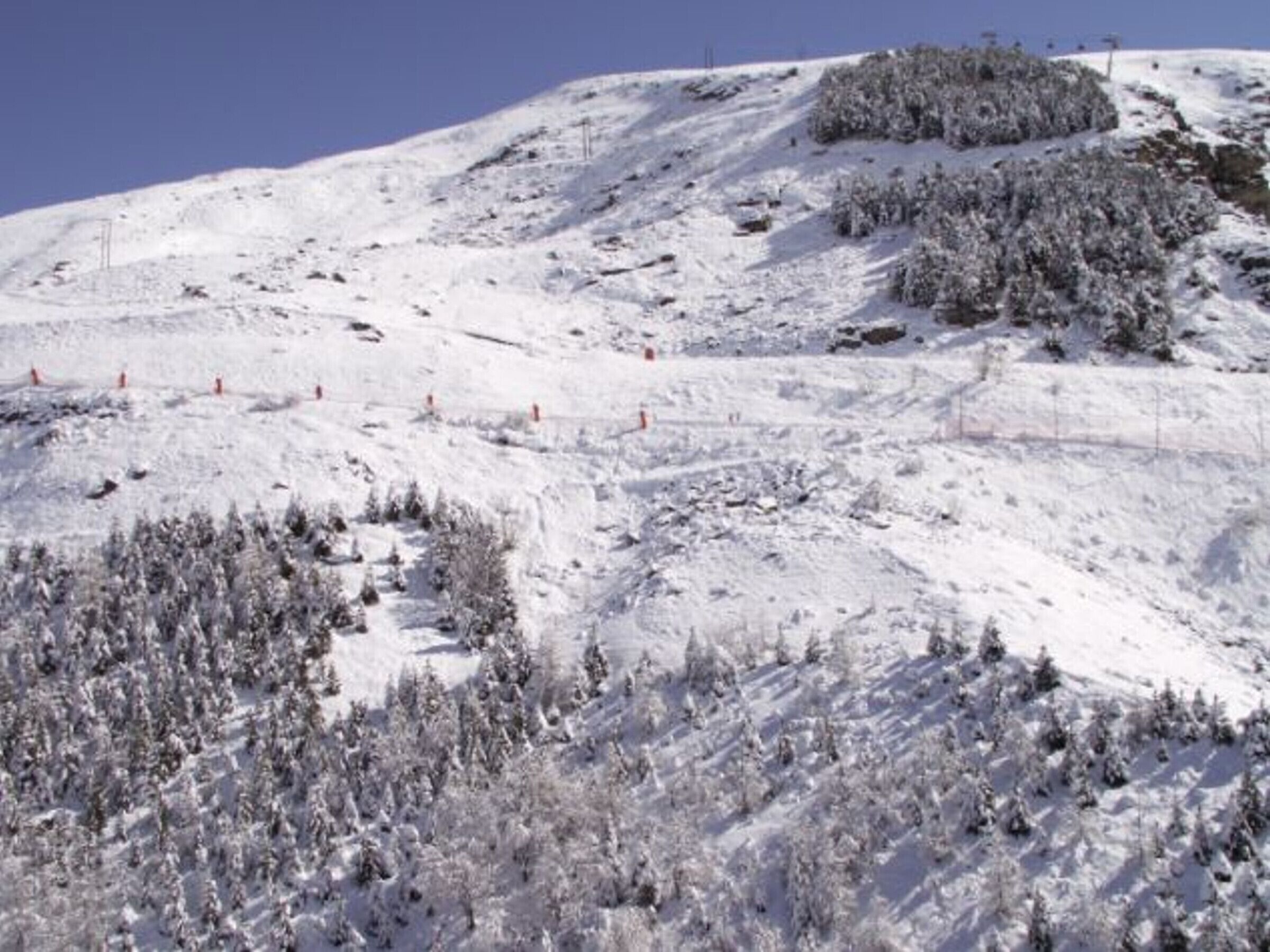 A snow-covered mountain with ski slopes and a dense forest at the base.