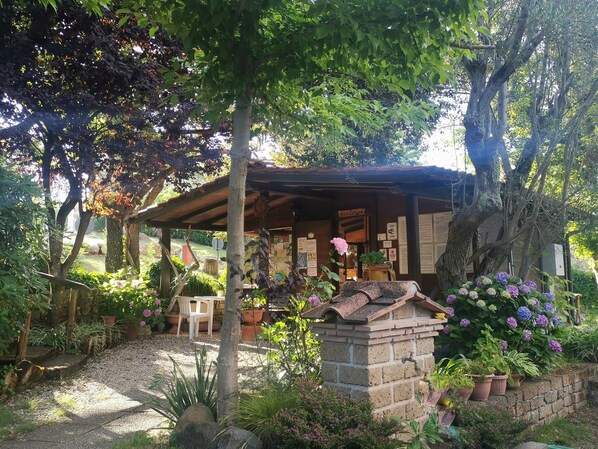 A rustic garden setting with a wooden pergola, stone structures, and potted plants.