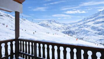 Sneeuw- en skisporten