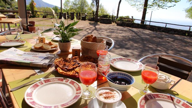 A table set for breakfast with waffles, a plant, a newspaper, and a view of the mountains. - Damarco Alloggio Turistico Locanda (Schio)