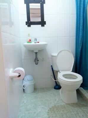 Shower, rainfall showerhead, towels