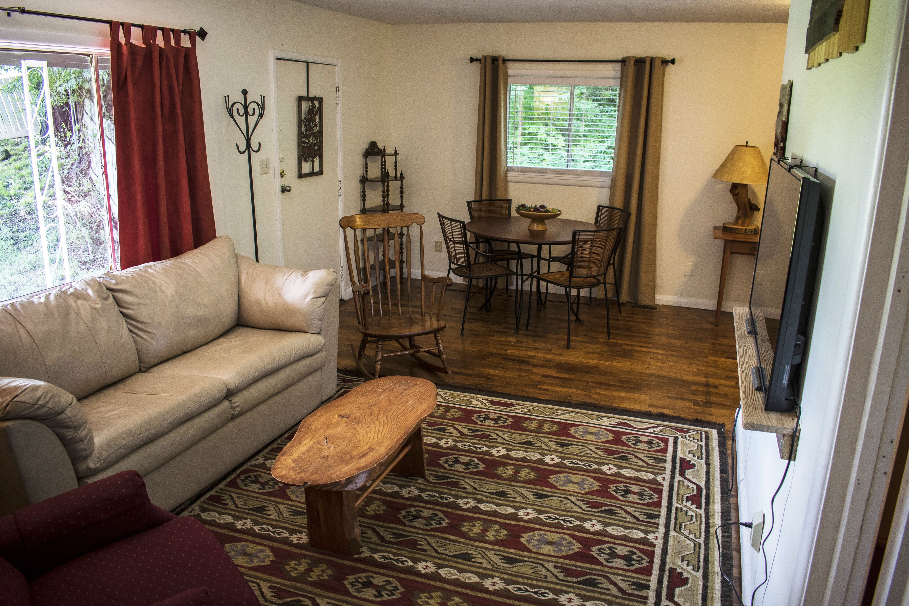 Smart TV, DVD player, computer monitors