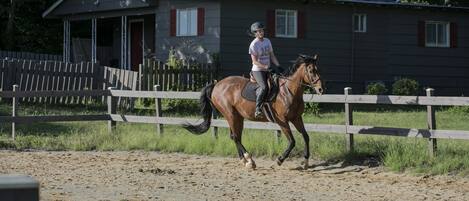 Enceinte de l’hébergement