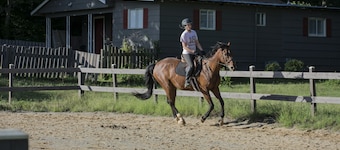 Peaceful Country Setting on a Working HorseFarm
