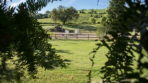 Paisaje rural con un área cercada que contiene una pequeña estructura, posiblemente un cobertizo o granero, rodeado de follaje y árboles.