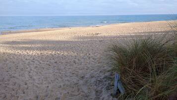 在海灘附近、躺椅