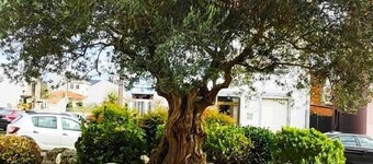 Albergue Arraigos - Hostel