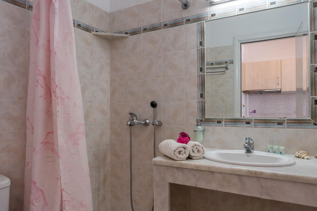 studio | bathroom | shower, free toiletries, hair dryer, towels