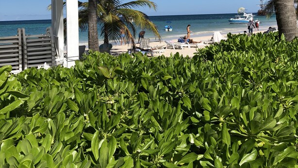 Plage privée, sable blanc
