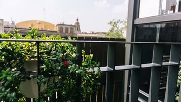 Deluxe Apartment, Balcony | View from room