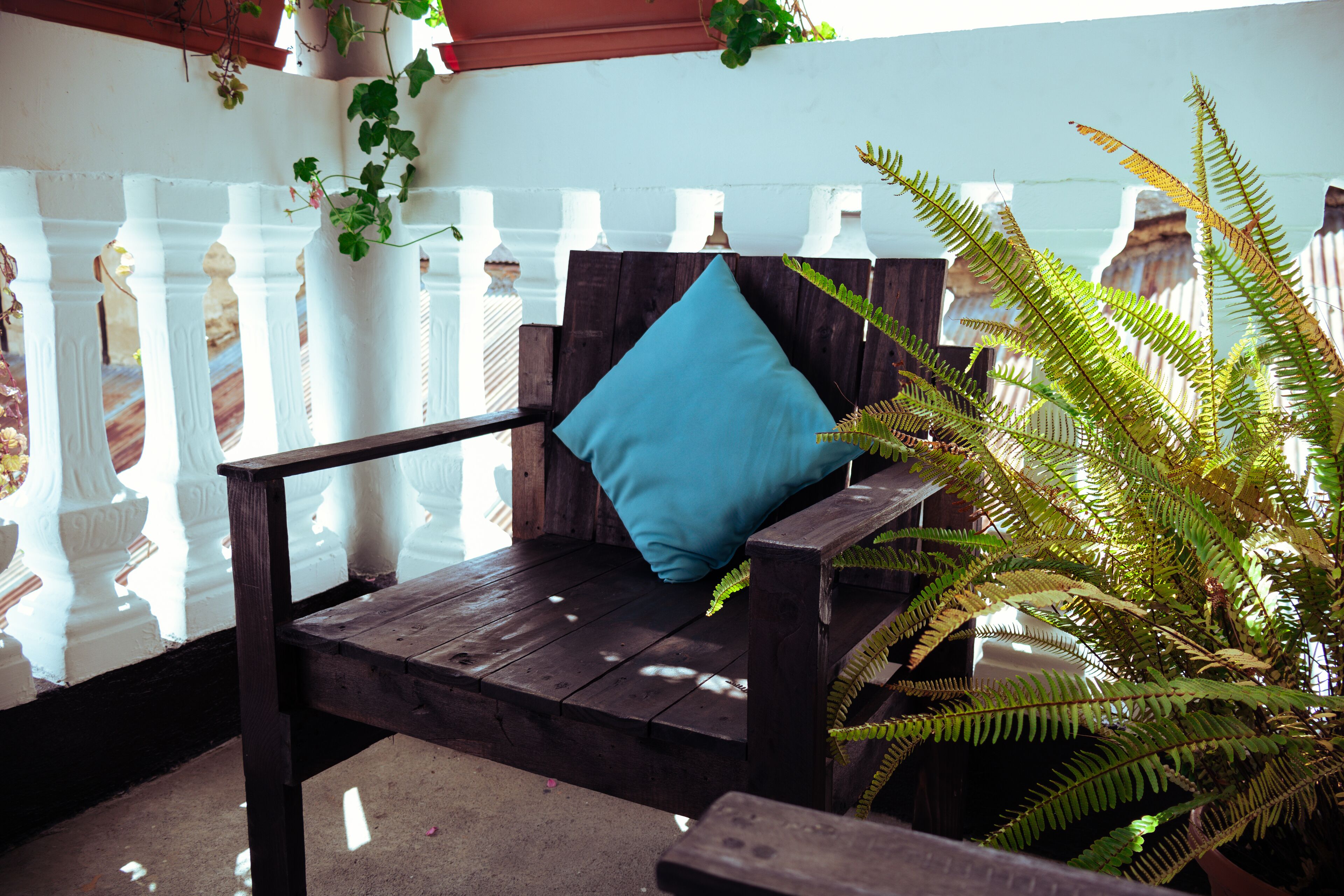 Un banc en bois avec un coussin bleu, une fougère en pot et une balustrade blanche.