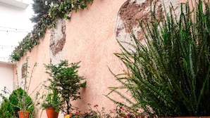 A street with a brick wall, potted plants, and a red pavement. - Lar Antiqua Hotel (Quetzaltenango)