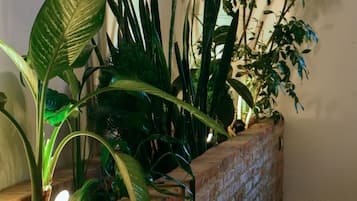 A brick planter with various green plants.