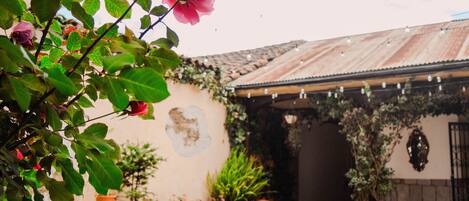 A courtyard with potted plants, a brick planter, and a building with a corrugated metal roof.