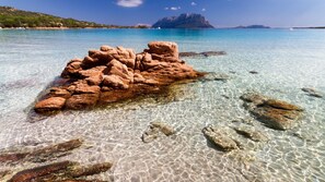 Playa en los alrededores, camastros, sombrillas y toallas de playa 
