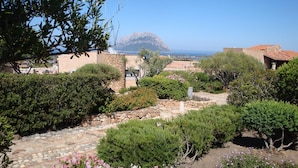 A garden with stone pathways, various shrubs, and a view of the sea and a mountain in the background.