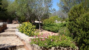 Parco della struttura