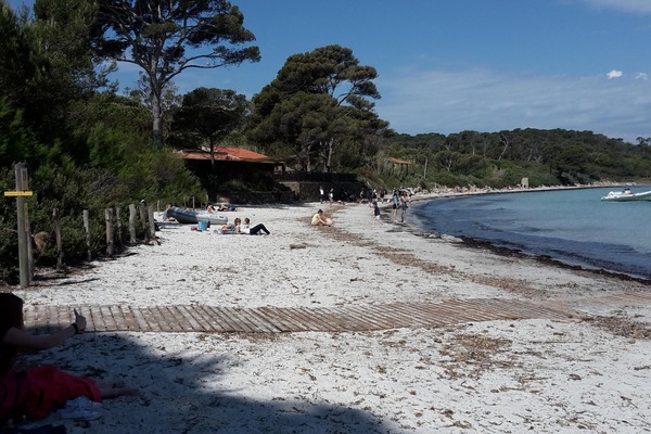 Ile de porquerolles accessible à la tour fondue Giens. 15 à 20 mn en voiture
