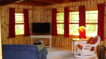 智能电视、壁炉、DVD 播放器、书