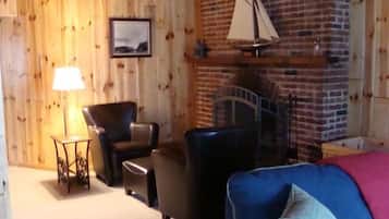 智能电视、壁炉、DVD 播放器、书