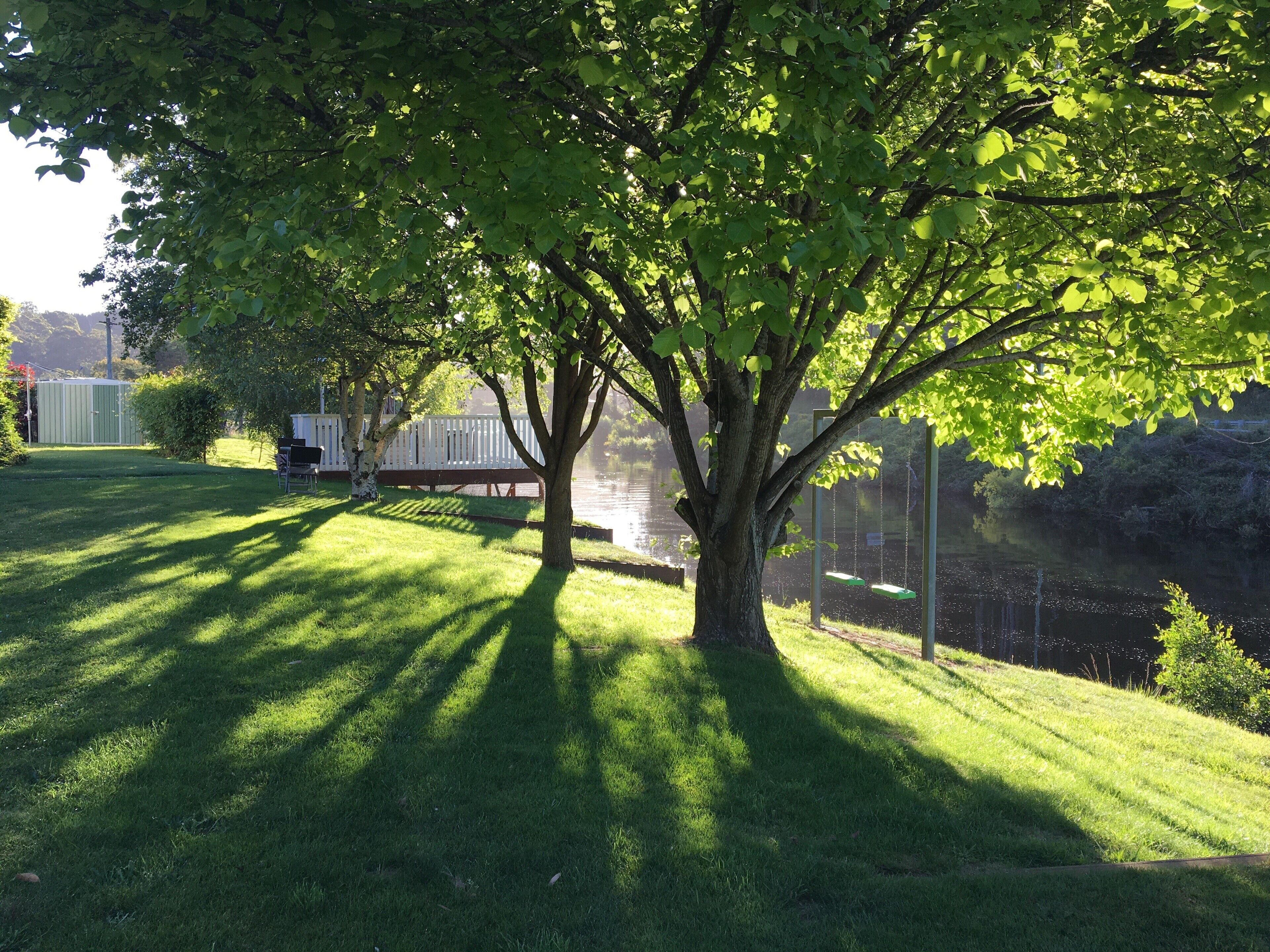 Forth River Cottage - Luxury Bed and Breakfast by the River — image 21