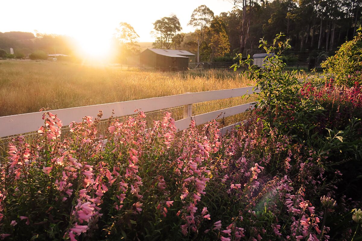 Forth River Cottage - Luxury Bed and Breakfast by the River — image 27