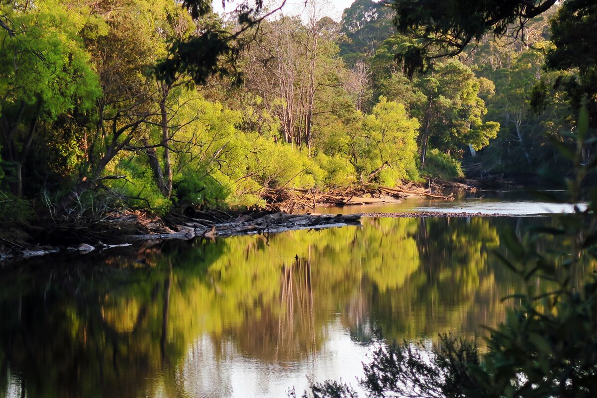 Forth River Cottage - Luxury Bed and Breakfast by the River — image 6