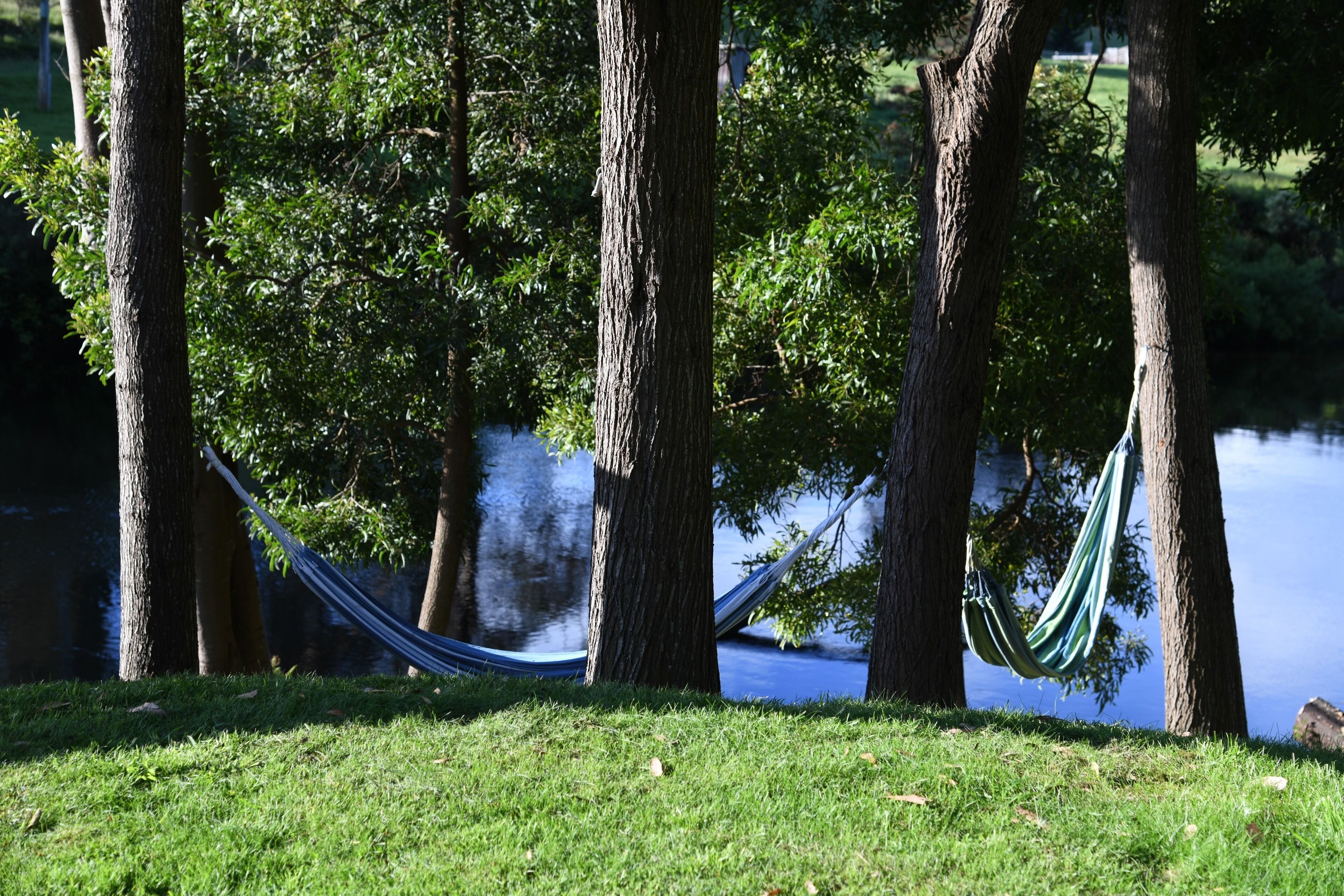 Forth River Cottage - Luxury Bed and Breakfast by the River — image 29