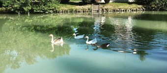 Dimora Naviglio B & B near Venice