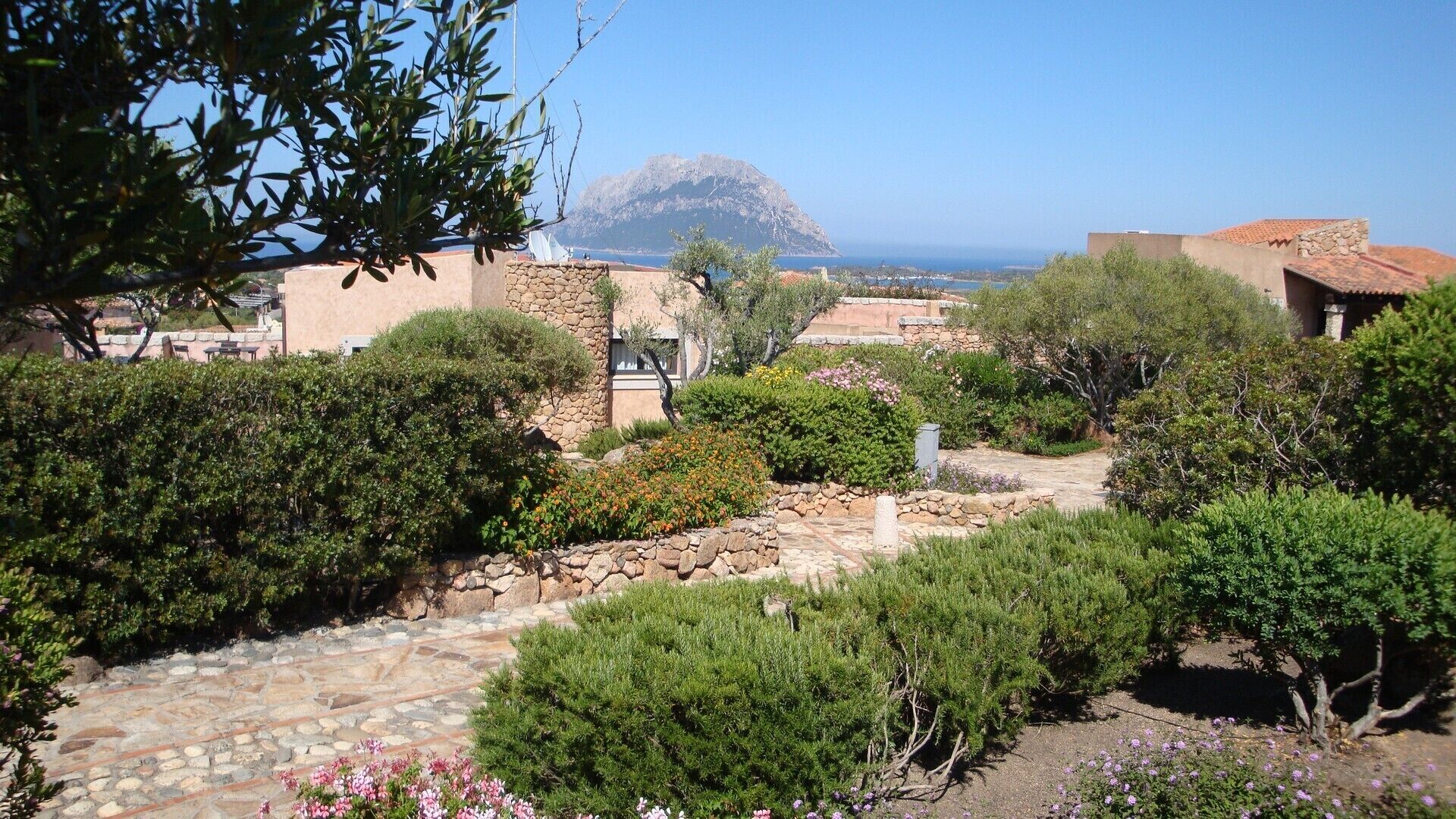 A garden with stone pathways, various shrubs, and a view of the sea and a mountain in the background.