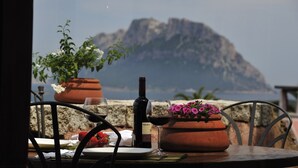 Uma mesa com uma garrafa de vinho, um copo e uma taça de morangos, com uma paisagem de montanhas ao fundo.