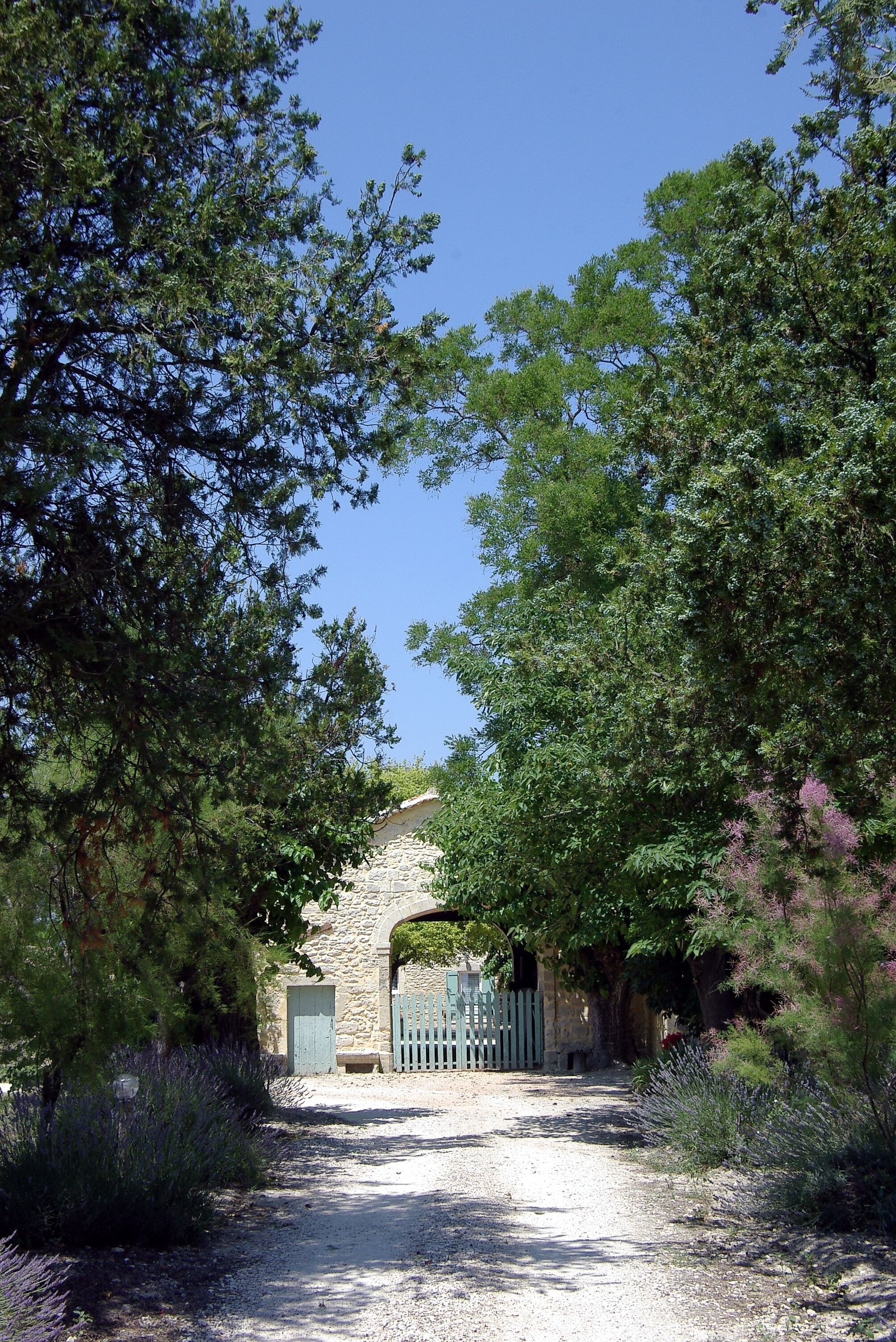 A stone building with a wooden gate, surrounded by dense trees and shrubs.