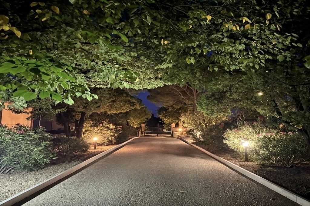 Un chemin bordé d’arbres et éclairé par des lampadaires, menant à l’entrée d’un bâtiment.
