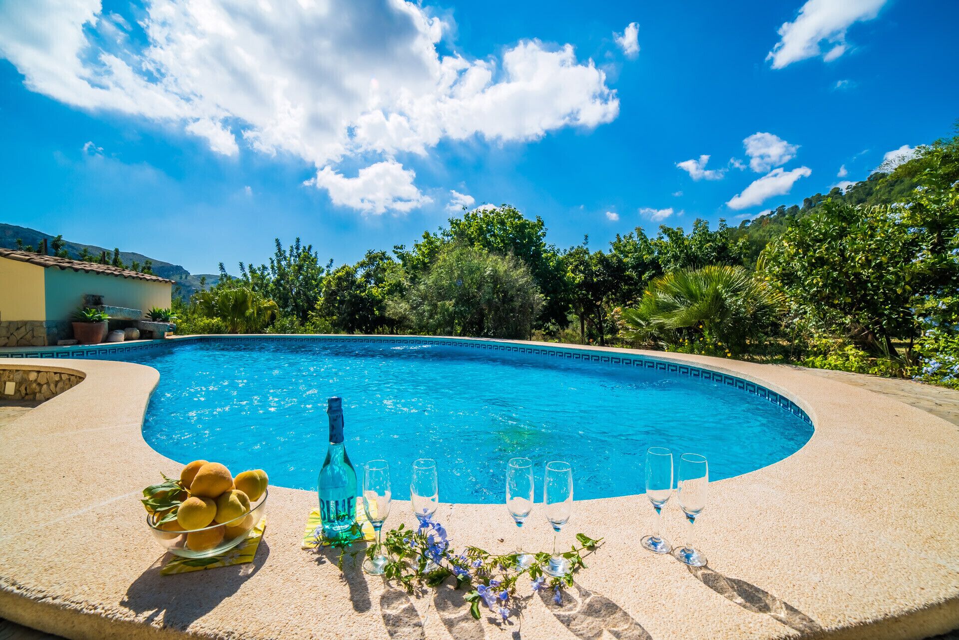A swimming pool with a clear blue sky, surrounded by lush greenery and a building with a tiled roof.