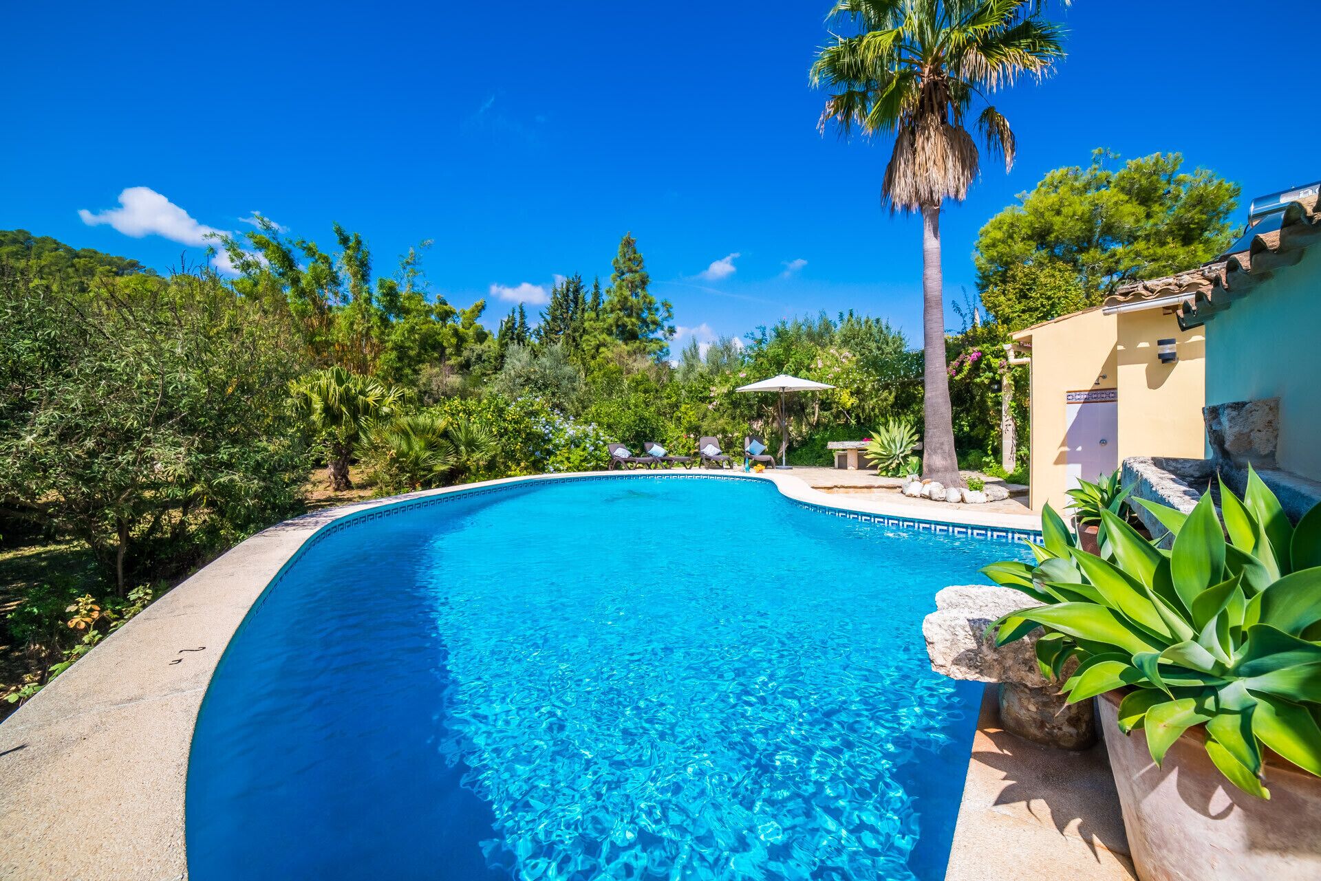 Une piscine d’un bleu éclatant, entourée d’une végétation luxuriante et agrémentée de quelques chaises longues.