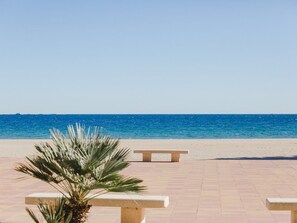 A beach with a palm tree and benches.