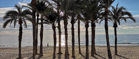 Beach nearby, sun-loungers