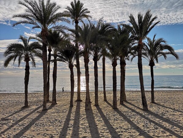 A beach with palm trees and a person walking in the distance. - Charming apartment, first line of the Center Beach, Villajoyosa (Villajoyosa)
