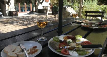 CHALET COSY 8 à 12 pers. sur Vallouise (rénové de 2012 à 2016)