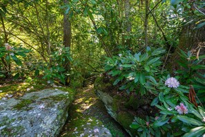 Terrain de l’hébergement 