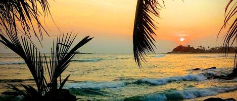 A beach scene with waves, palm trees, and a sunset.