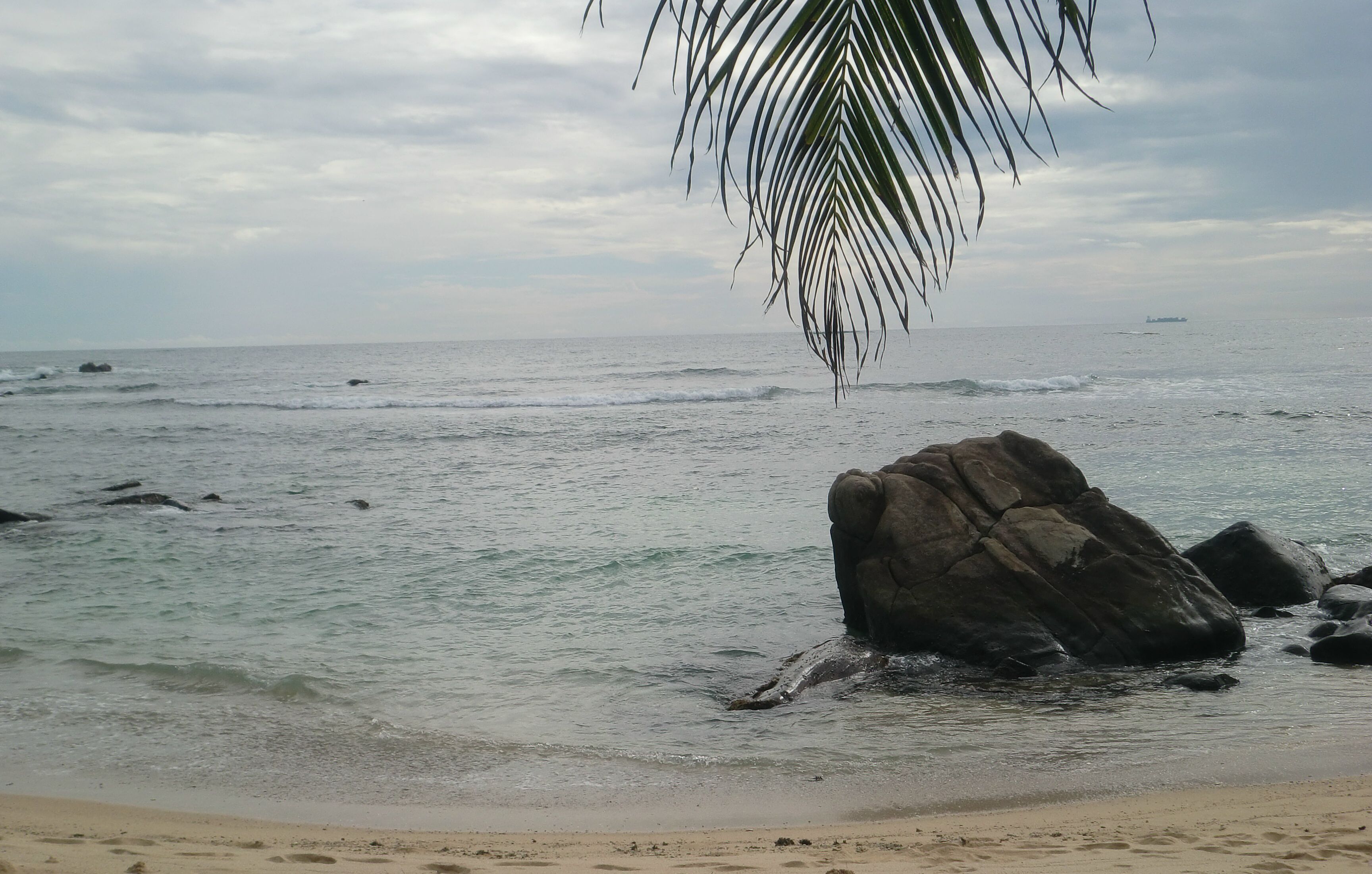 Una playa con una roca grande al frente y una rama de palmera sobre ella.