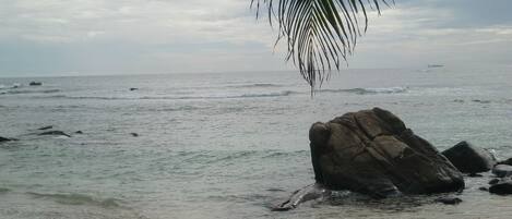 Una playa con una roca grande al frente y una rama de palmera sobre ella.