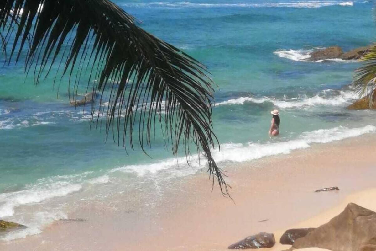A beach with clear blue water, a person in the water, and palm trees.