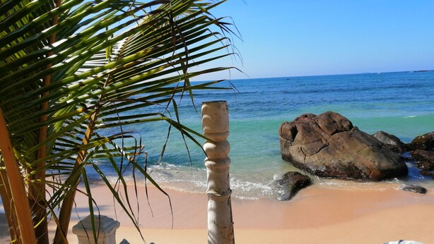 A beach with clear water, a wooden fence, and a palm tree. - Happy Beach (Unawatuna)